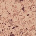 Линолеум коммерческий гомогенный Tarkett PRIMO PLUS CPRPI-307 