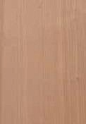   WOOD LAMINATED   MicroLook 600x600x12 BP9774M5GMD